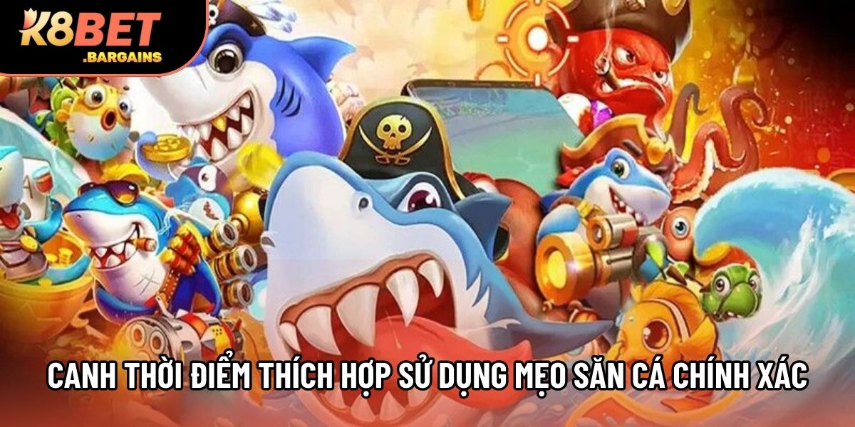 Canh thời điểm thích hợp sử dụng mẹo săn cá chính xác