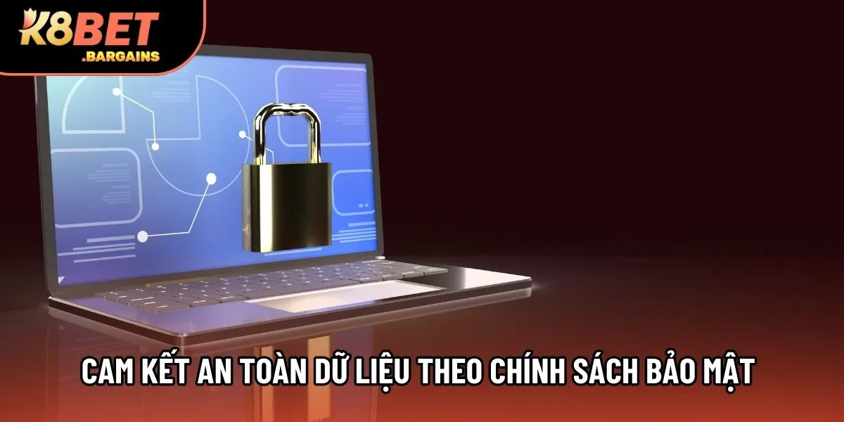 Cam kết an toàn dữ liệu theo chính sách bảo mật 