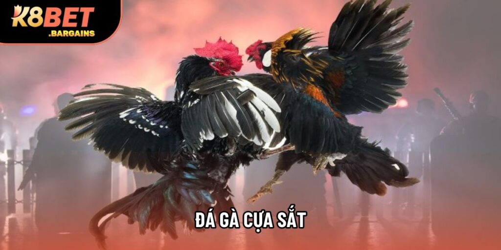 Đá Gà Cựa Sắt: Bí Quyết Soi Kèo Và Phân Tích Lối Đá Hiệu Quả
