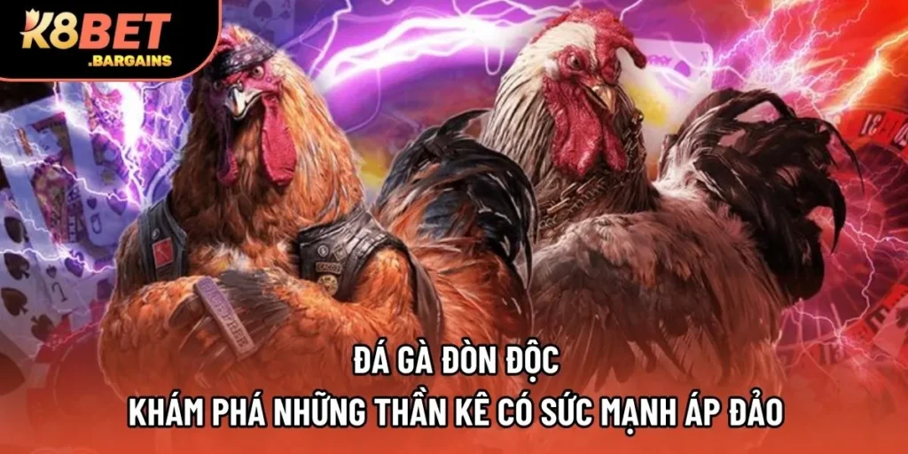 Đá Gà Đòn Độc - Khám Phá Những Thần Kê Có Sức Mạnh Áp Đảo