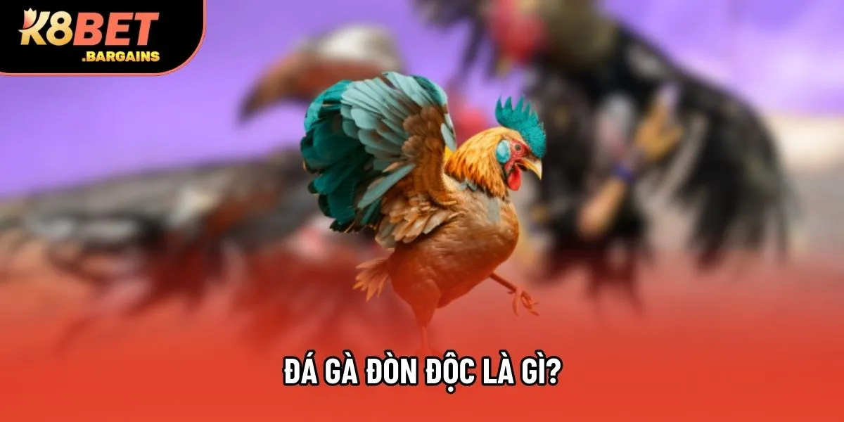 Đá gà đòn độc là gì?