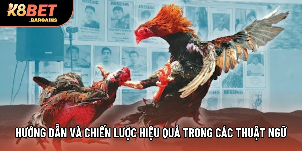 Hướng dẫn và chiến lược hiệu quả trong các thuật ngữ