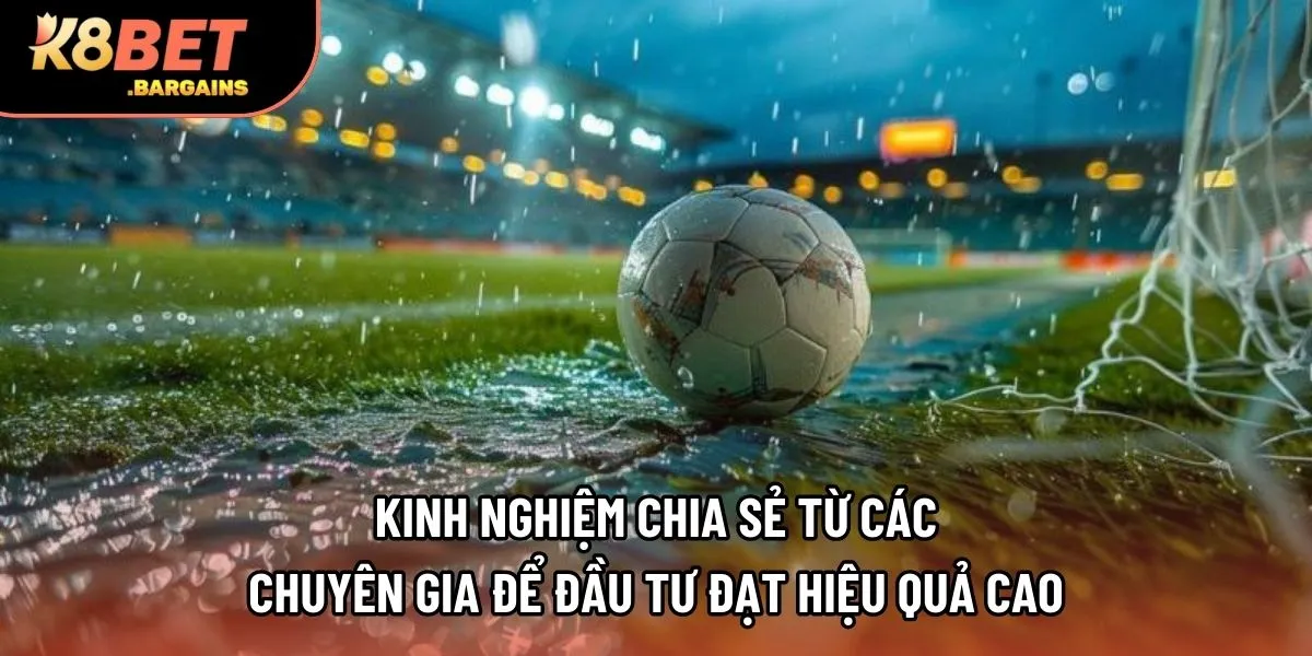 Kinh nghiệm chia sẻ từ các chuyên gia để đầu tư đạt hiệu quả cao