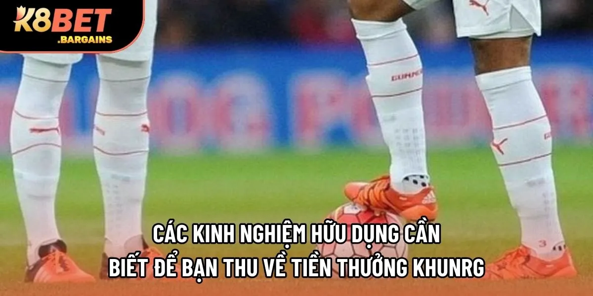 Các kinh nghiệm hữu dụng cần biết để bạn thu về tiền thưởng khủng