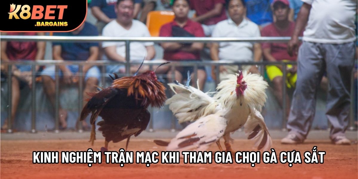 Kinh nghiệm trận mạc khi tham gia chọi gà cựa sắt
