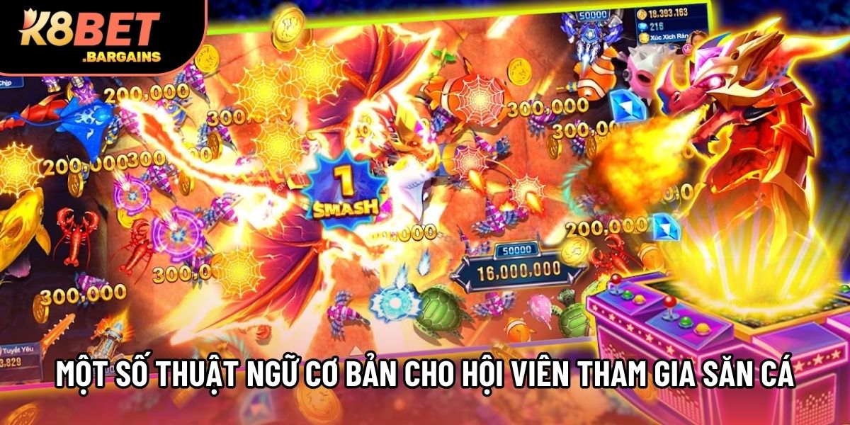 Một số thuật ngữ cơ bản cho hội viên tham gia săn cá