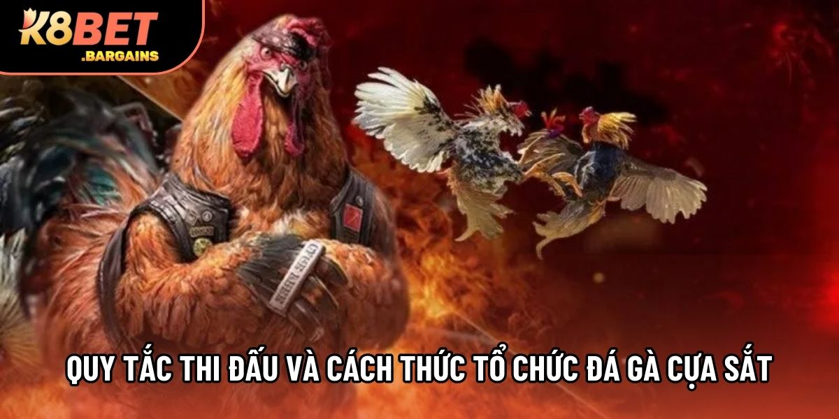 Quy tắc thi đấu và cách thức tổ chức đá gà cựa sắt